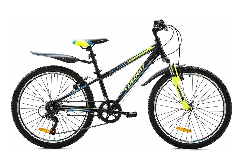 Favorit Master 24" (2020)