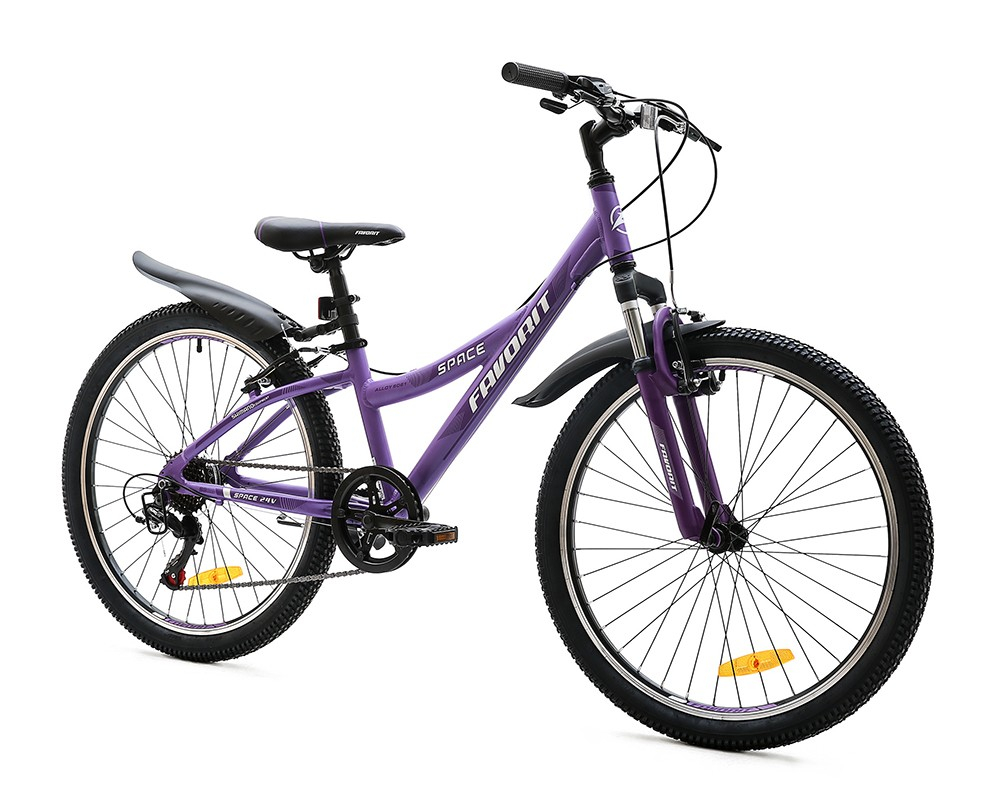 Favorit Space 24" (2020)