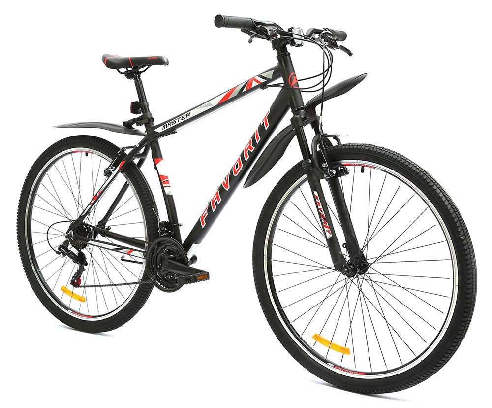 Favorit Master 29 V (2019)