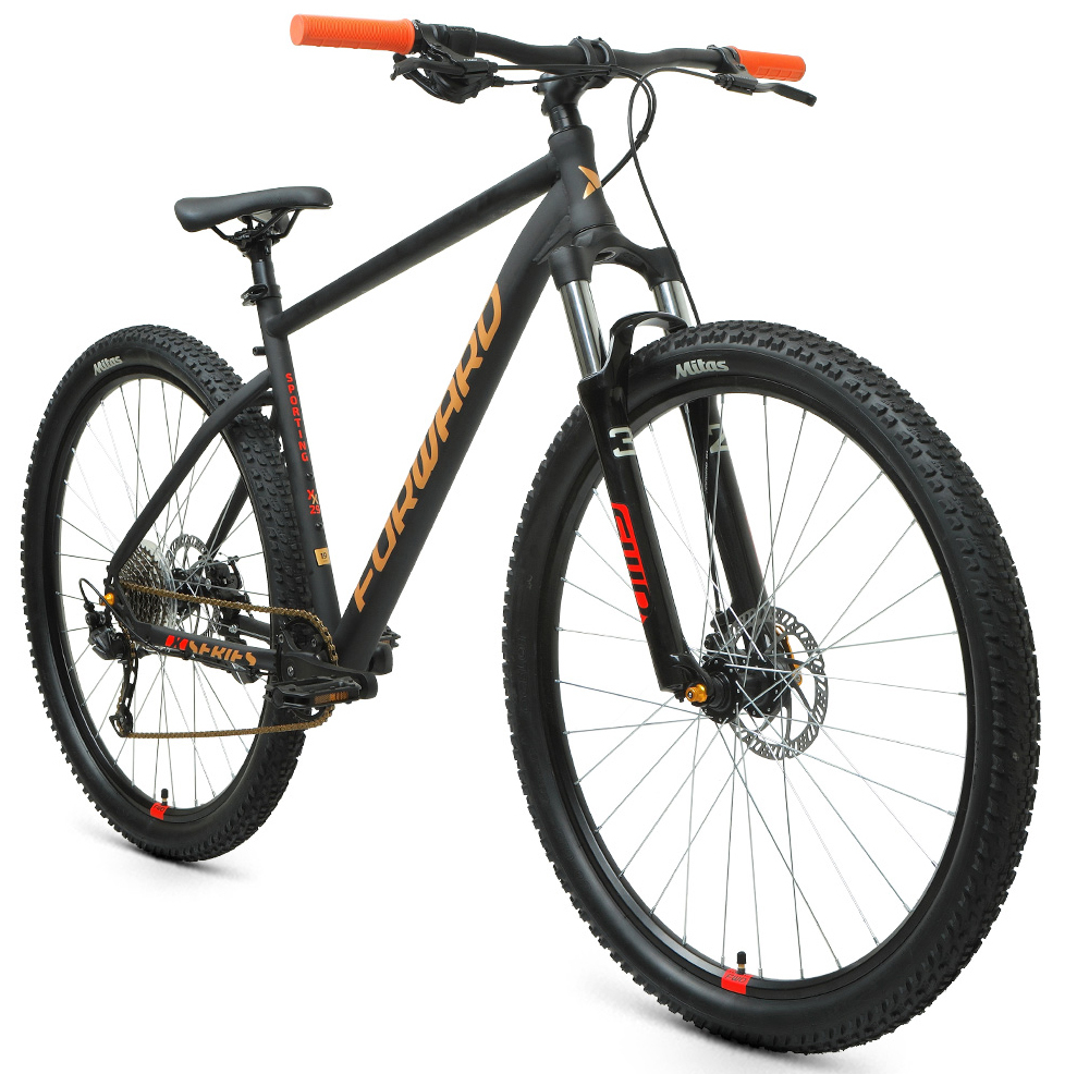 Forward Sporting 29 XX D (2022)