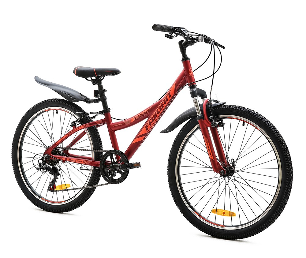 Favorit Space 24" (2020)