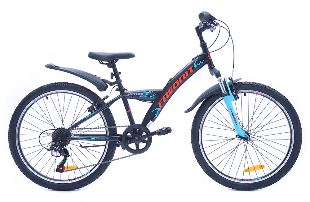 Favorit Meteor 24" (2019)