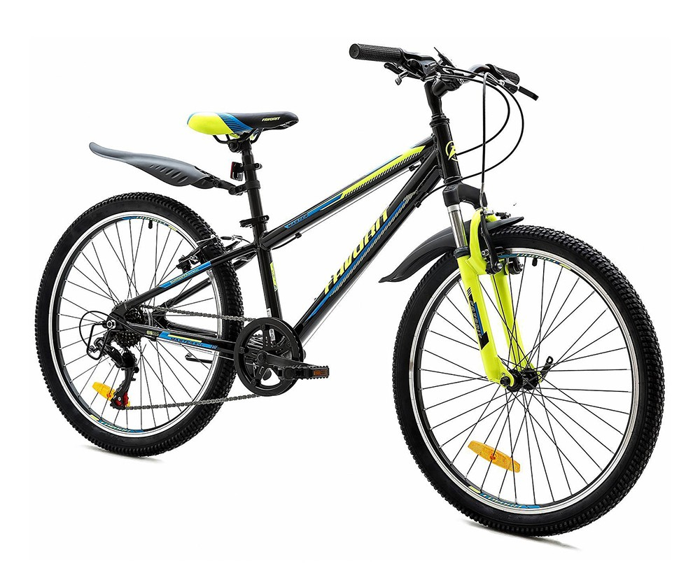 Favorit Master 24" (2020)