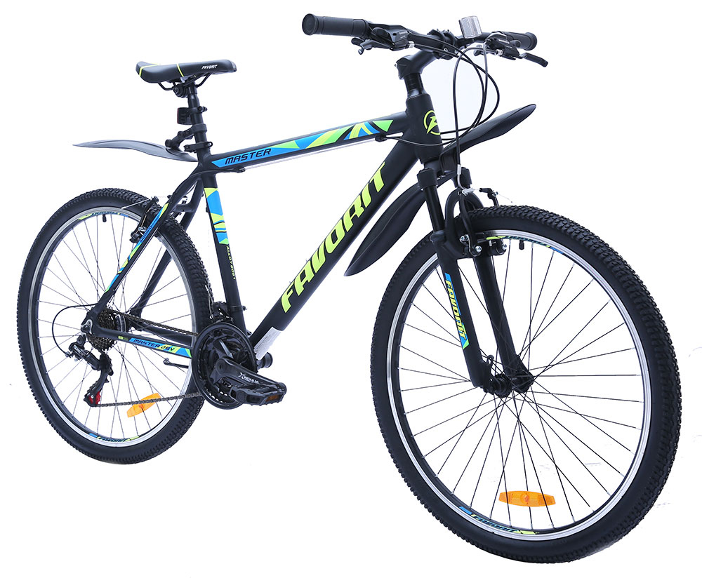 Favorit Master 26 V (2019)