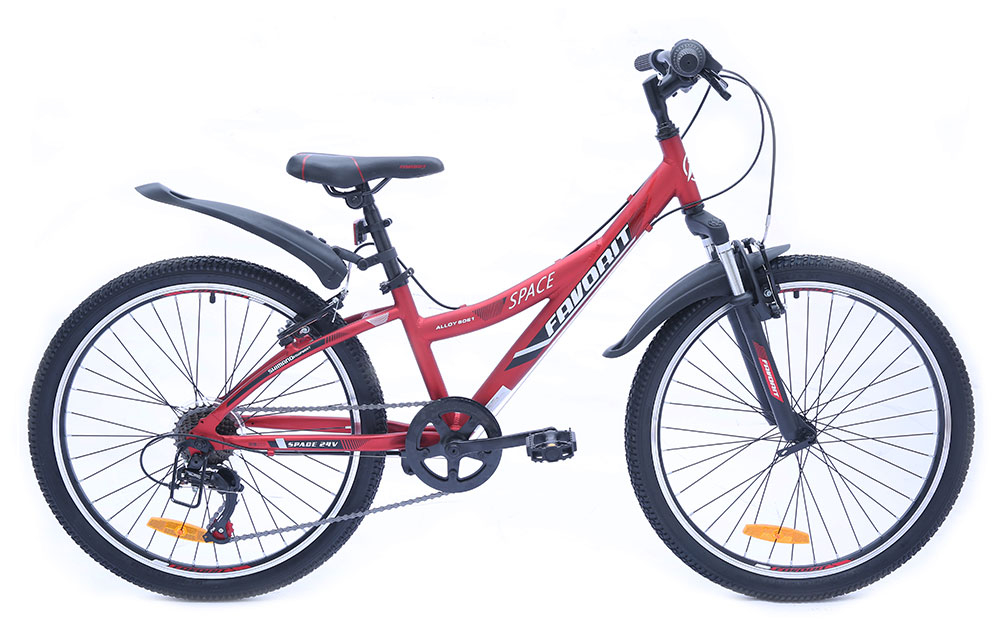 Favorit Space 24" (2019)