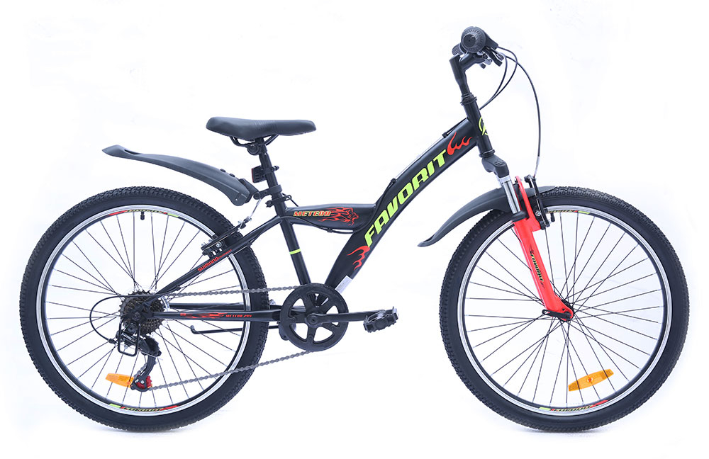Favorit Meteor 24" (2019)