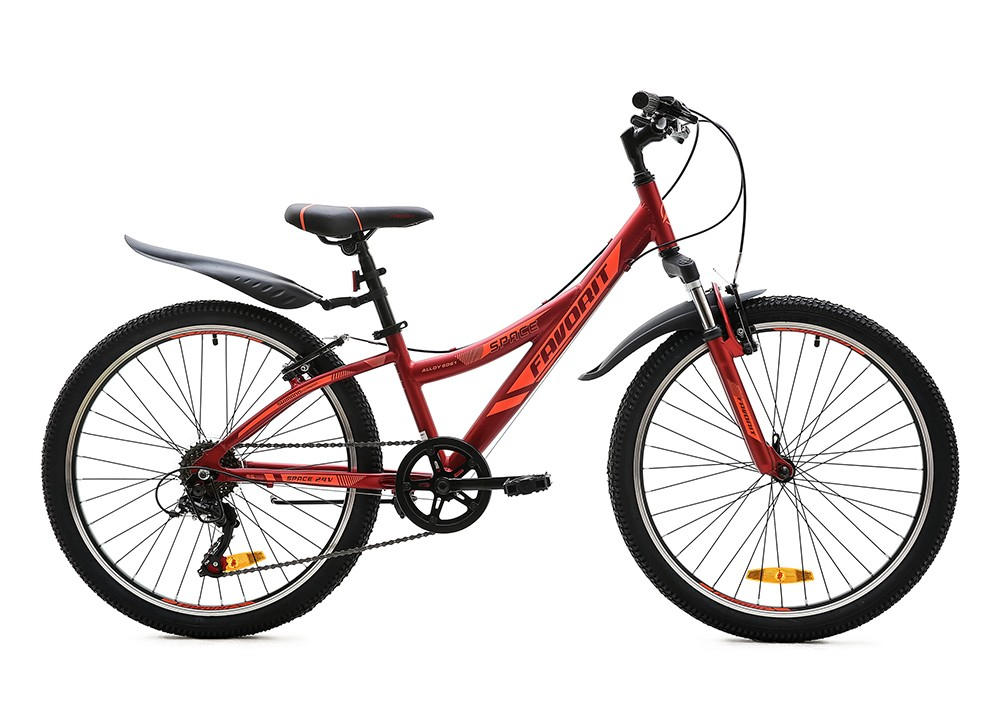 Favorit Space 24" (2020)