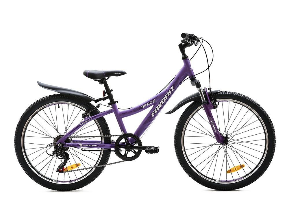 Favorit Space 24" (2020)