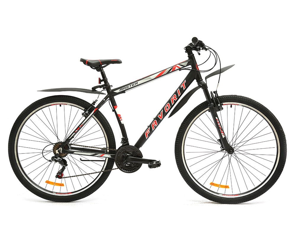 Favorit Master 29 V (2019)