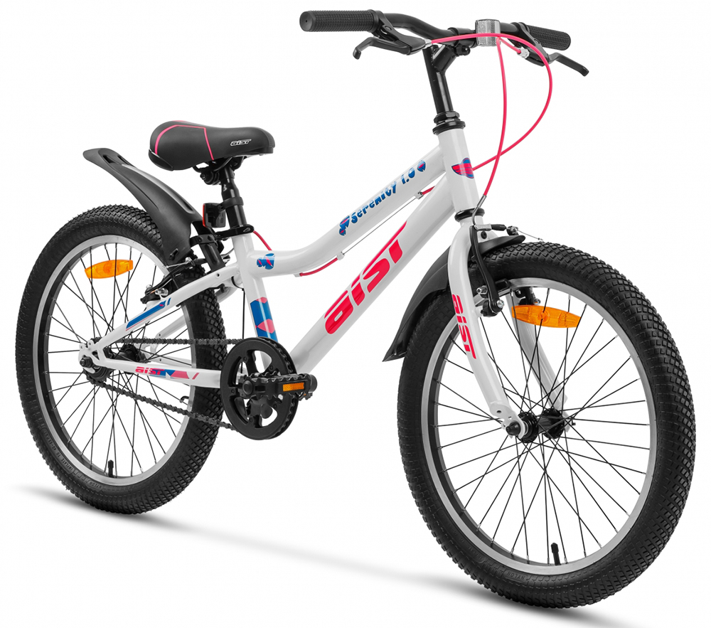 Aist Serenity 1.0 (2019)