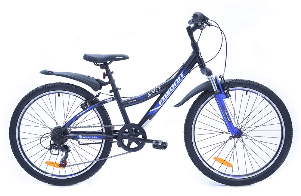 Favorit Space 24" (2019)