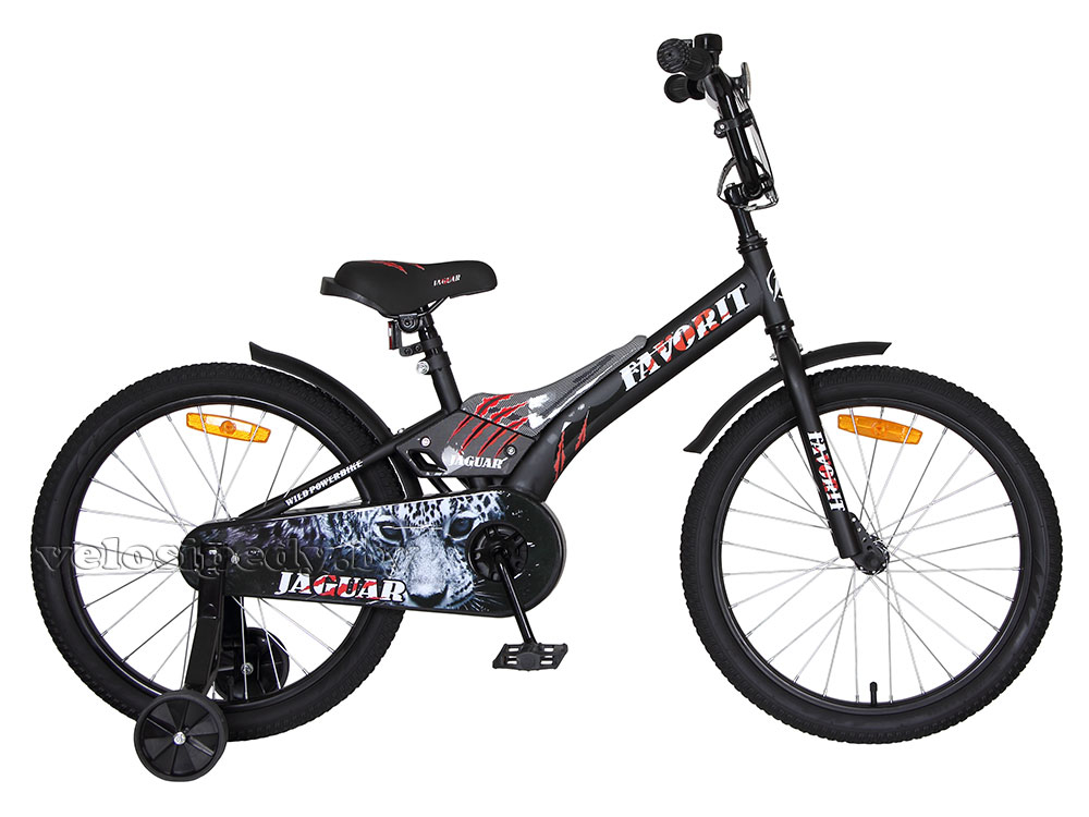 Favorit Jaguar 20" (2019)