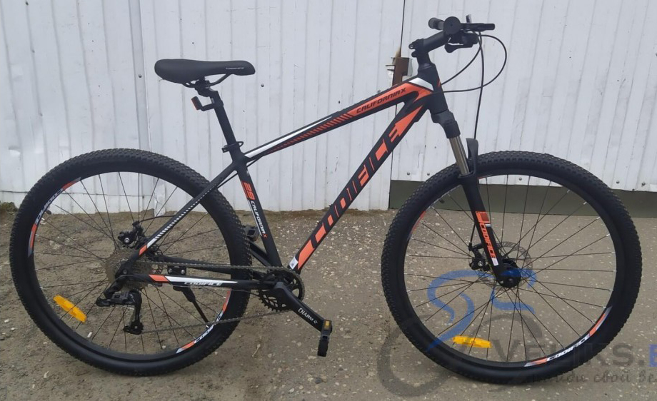 Codifice California X 29"