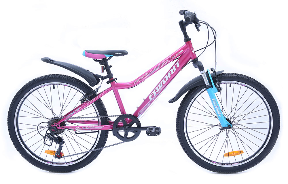 Favorit Juli Pro 24" (2019)