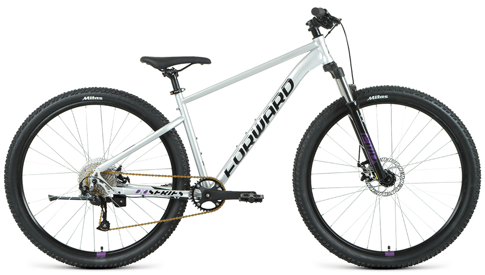 Forward Sporting 29 XX D (2022)