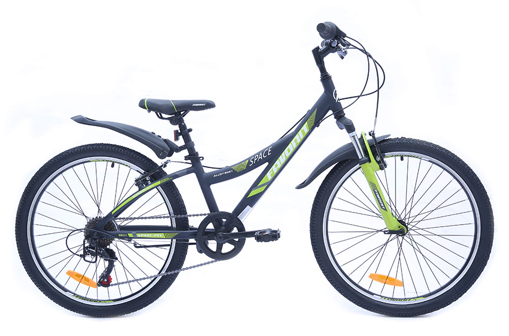 Favorit Space 24" (2019)