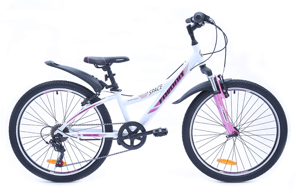 Favorit Space 24" (2019)