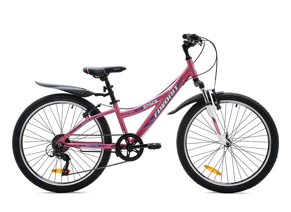 Favorit Space 24" (2020)