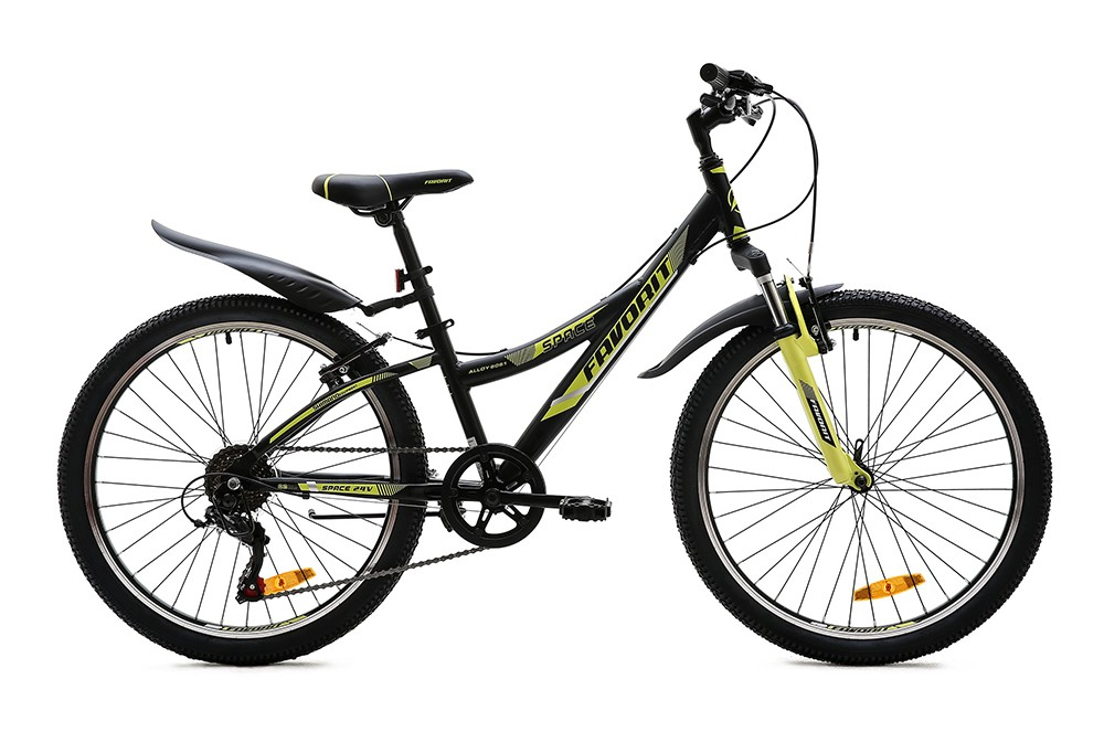 Favorit Space 24" (2020)