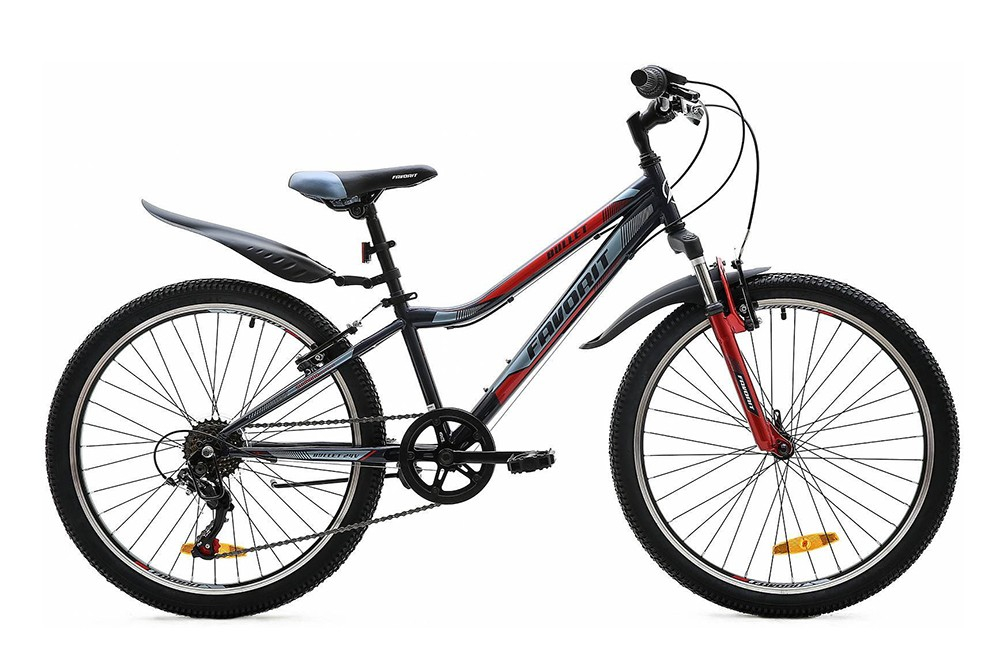 Favorit Bullet 24 V (2020)