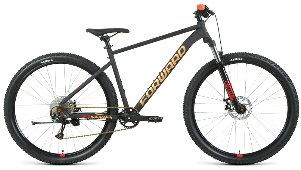 Forward Sporting 29 XX D (2022)