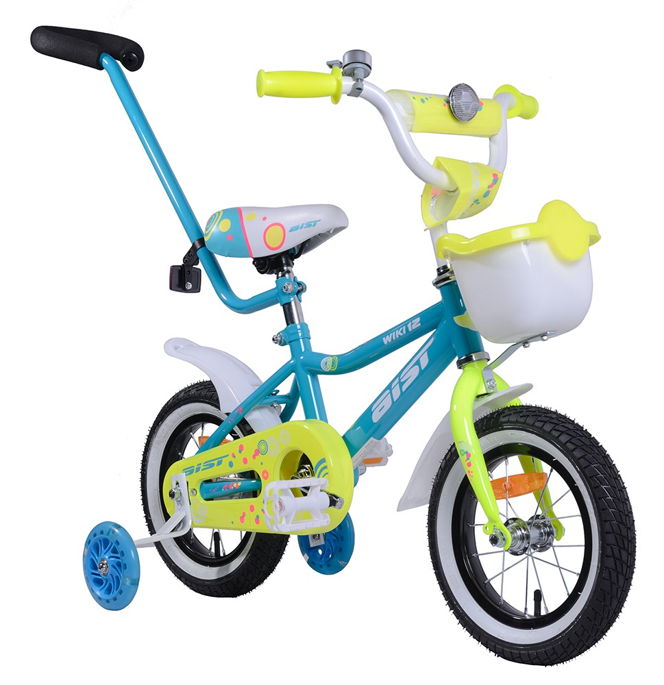 Aist Wiki 12" (2019)