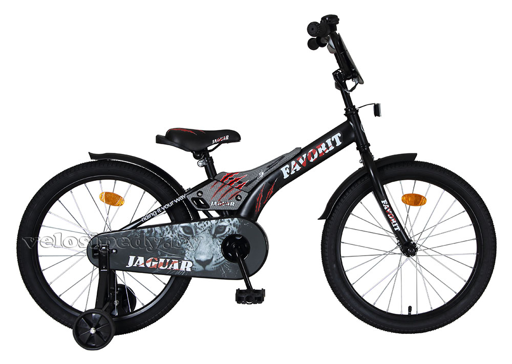 Favorit Jaguar 20" (2020)