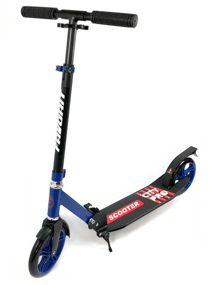 Самокат Favorit XZ-122