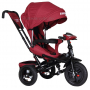 Трехколесный велосипед Favorit Trike Lux FTL-1210-1