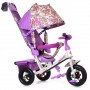 Трехколесный велосипед Trike Beauty BA2